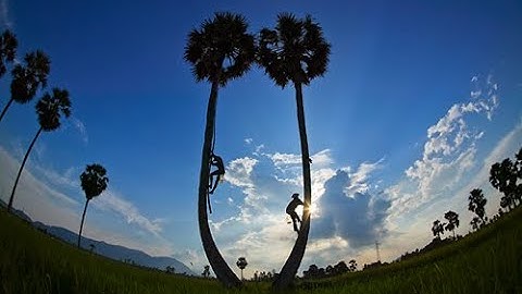 TT VXL: BAI 417 DEM XUNG T0 START STOP 32LED