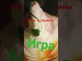 аркл