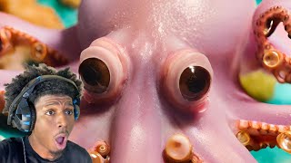 A Octopus can do What??? Training Octopus underwater maze reaction video
