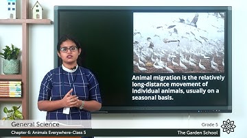 Grade 5 General Science Chapter 6 Class 4 How do animals obtain air and Animal Migration