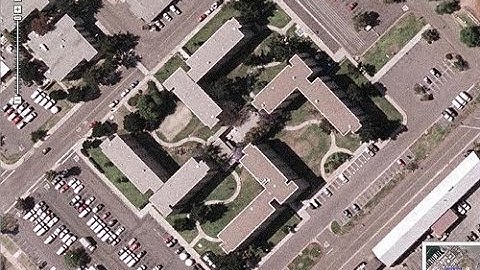 Unbelievably Stupid |World