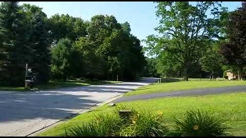 First drive part 2. 1993 Firebird Formula