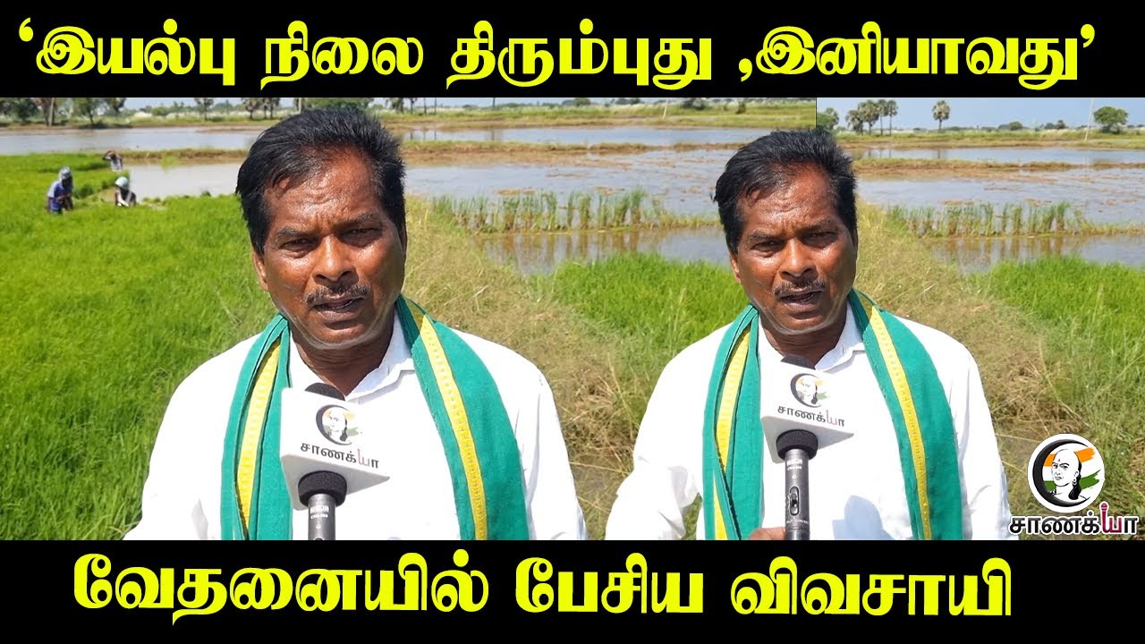" இயல்பு நிலை திரும்புது ,இனியாவது " வேதனையில் பேசிய விவசாயி | Nagapattinam | Farmer