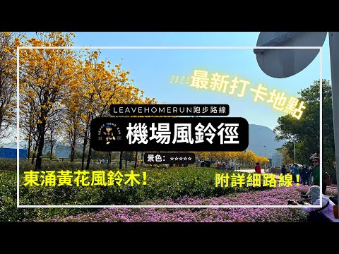 【黃花風鈴木路線】機場風鈴徑 | 東涌黃花風鈴木 | 詳細路線 | Airport Golden Trumpet Trail |Running Route Virtual Run