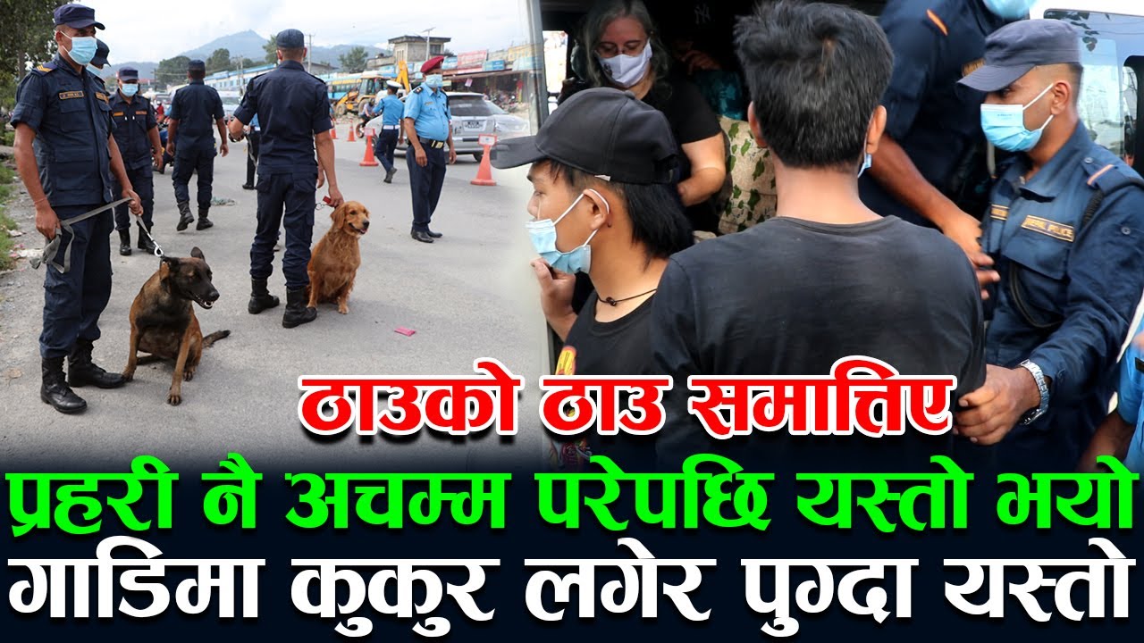 Exclusive प्रहरी कुकुर लगेर पुग्दा | ठाउको ठाउ समात्तिए | प्रहरी नै अचम्म परेपछि यस्तो भयो