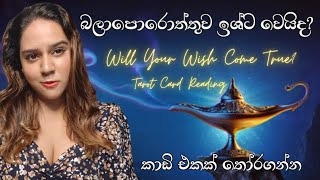 හිතේ තියෙන බලාපොරොත්තුව සාර්ථක වෙයිද? Will Your Wish Come True? Tarot Card Reading Sinhala