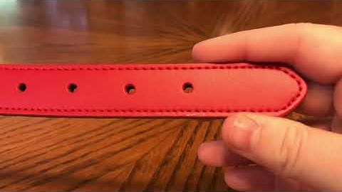 Personalized Dog ID Collar Customized Dogs Collars Inner Padded Leather Pet Collar With Name Plate