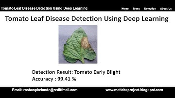 Tomato Leaf Disease Detection Using Deep Learning | Tomato Plant Disease Detection Using Python Code