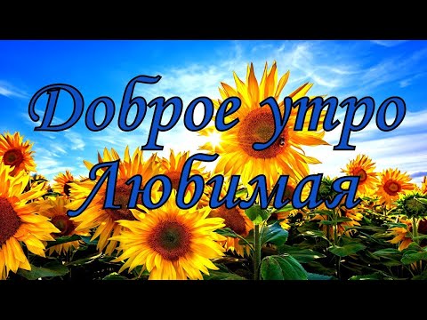Доброе утро, Любимая!