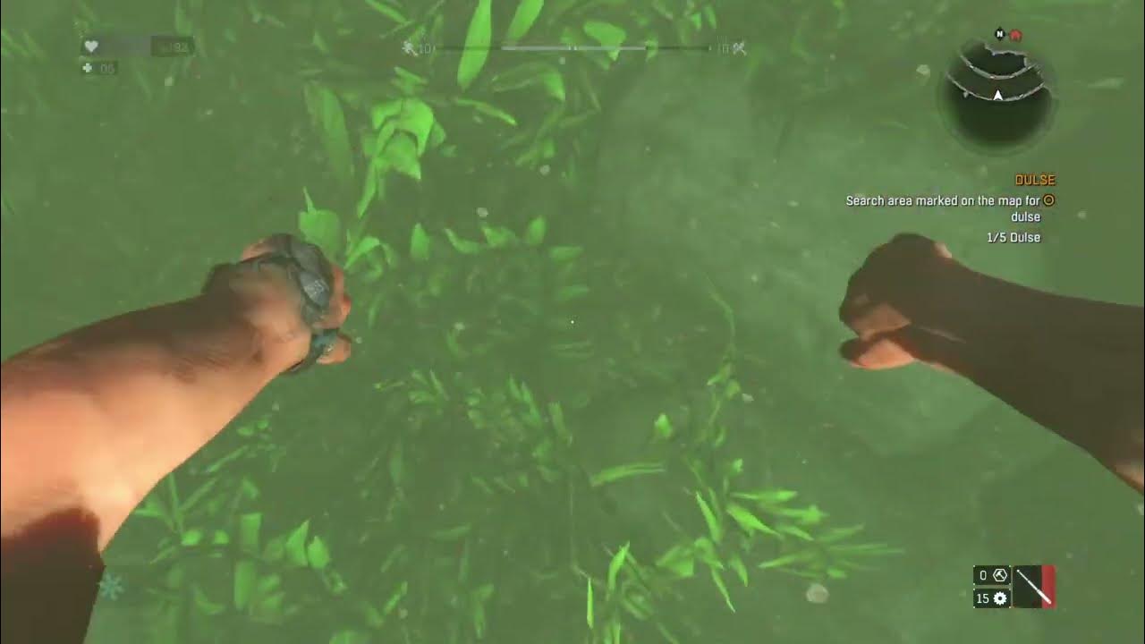 LOCATION DULSE Dying light how to find DULSE YouTube