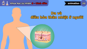 Da và điều hòa thân nhiệt ở người - Khoa học tự nhiên lớp 8 - Bài 36 - Cánh diều - vninfographic