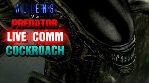 AVP Live Comm: COCKROACH TEAM POWER!
