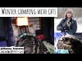 Winter Camping with Cats