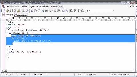 Beginner PHP Tutorial-8   Indentation
