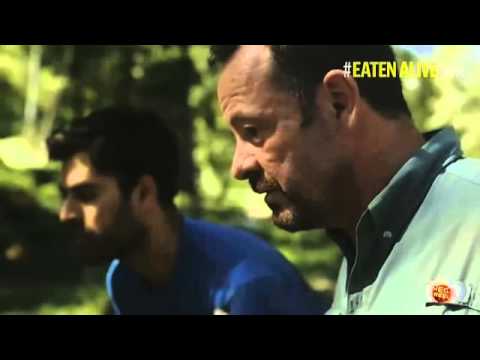 ანაკონდამ ადამიანი  ცოცხლად შეჭამა (ვიდეო+18)