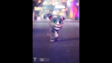 Thumbnail of Nhạy theo điệu nhảy của các chú mèo nào các bạn ơi