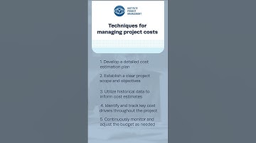 Techniques for managing project costs