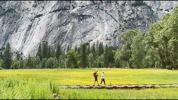 Walk This Way in Yosemite