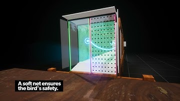 Bird-Safe Glass Testing Tunnel Process (Cornell Lab of Ornithology)