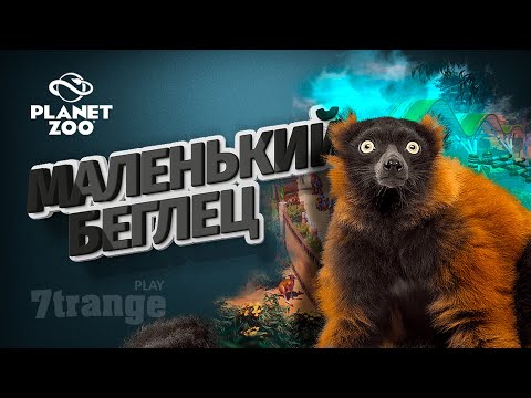 Видео: РЫЖИЕ ВАРИ #6 | Planet Zoo