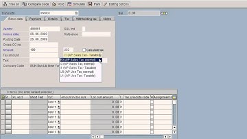 SAP Automatic Payment Run  Execution Part 1