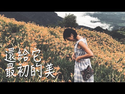 【花東日記】六十石山金針花海/台客劇場電音淨灘｜林宣Xuan Lin