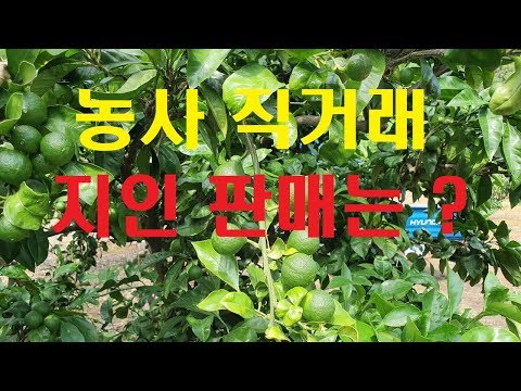 농사 직거래  꿀팁 처음부터 지인 판매는....! 귀농