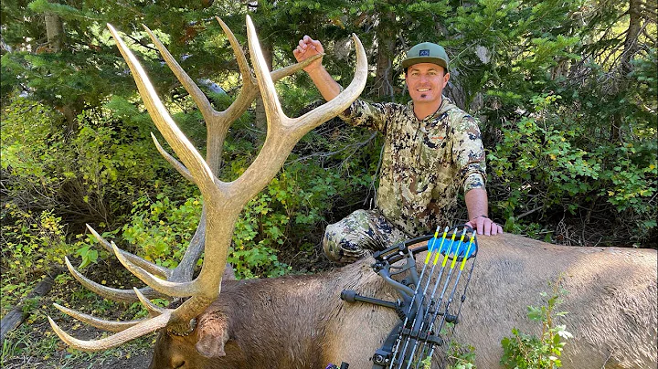 350” ARCHERY BULL ELK - UTAH 2021 - MANTI LE BULL