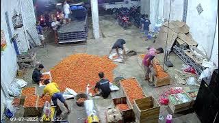 proses pengiriman cabe rawit merah luar jawa