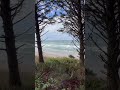starting your own path is like walking into waves—but it's worth it #ocean