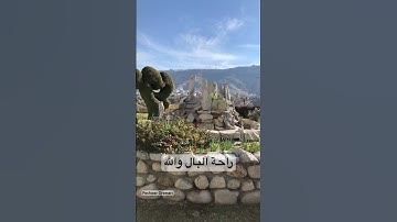راحة البال والله - القرآن الكريم ( سورة آل عمران ) بصوت القارئ الشيخ سعد الغامدي