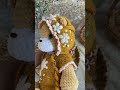 Набір для новонародженого
