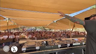 Captain Hook Indigo Festival 2024