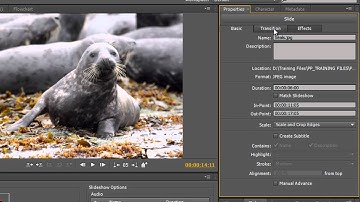 Adobe Encore Basics 8: Creating Slide-shows Part 2