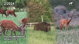 Podsumowanie 2023 - najlepsze akcje - SUDECKA OSTOJA 2/2024 - hunting in poland