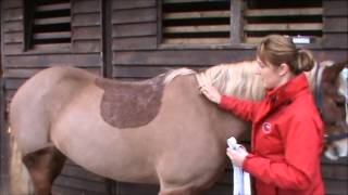 How to worm your horse by Supplement Solutions with Equimax gel.wmv