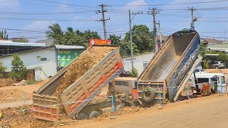 Start Work! Group Dump Truck 25 Ton Continue Pouring Soil To Road Construction by Bulldozer Working Group 238 views 14 hours ago 23 minutes