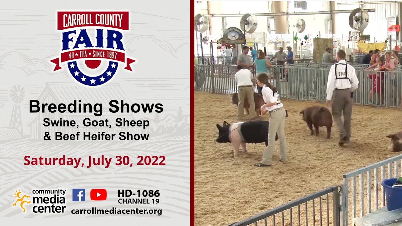 Carroll County 4H & FFA Fair Breeding Shows, 7302022 YouTube