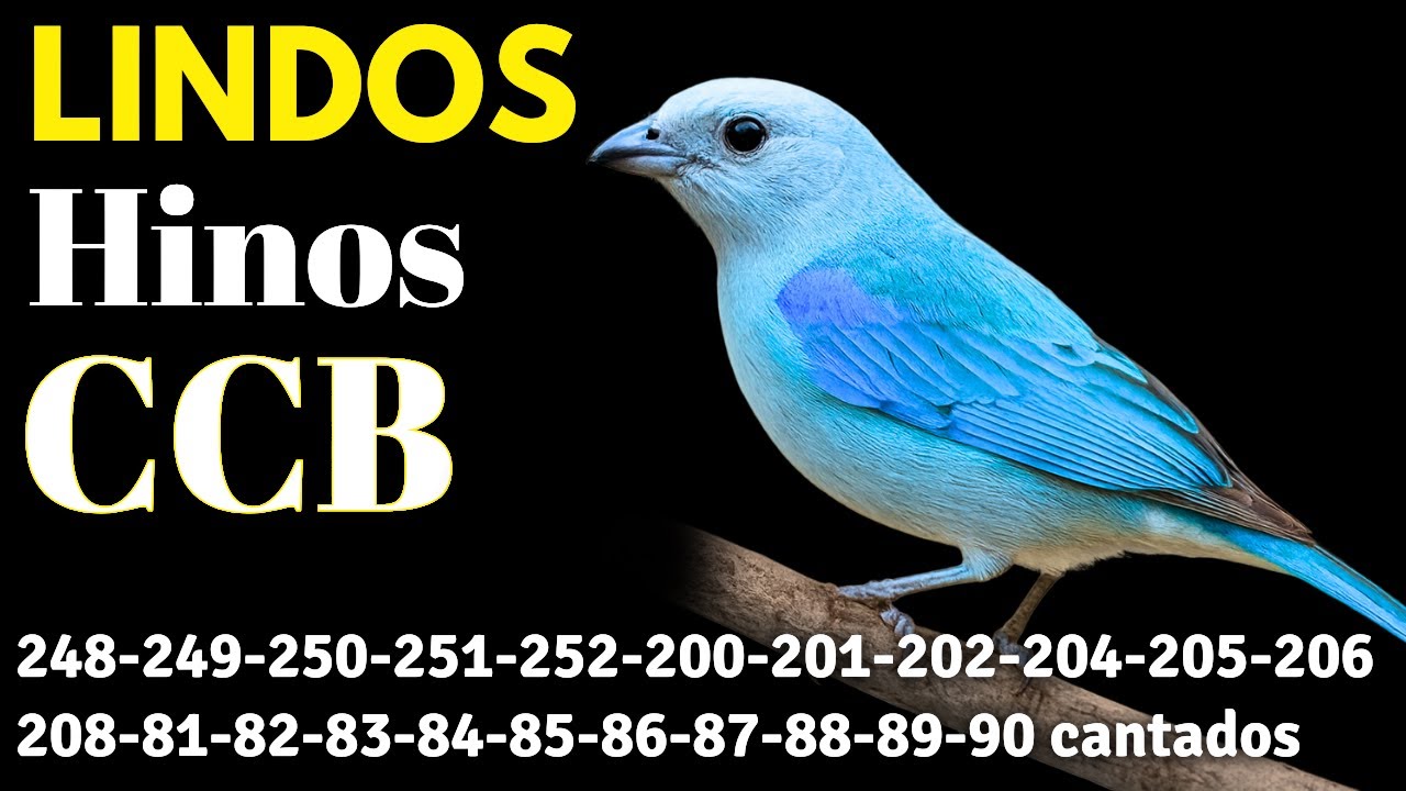 HINOS CCB 248-249-250-251-252-200-201-202-204-205-206-208-81-82-83-84-85-86-87-88-89-90 cantados