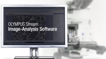 Olympus Stream Image-Analysis Software Overview