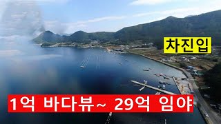 1억 바다뷰~ 싼임야 29억~52억짜리 자연인 전원생활 산분장 숲가치219억 탄소권2257만원 숲경영 약용재배 임업직불금 땅과함께(새희망을)경매임야 공매임야 나도땅주인
