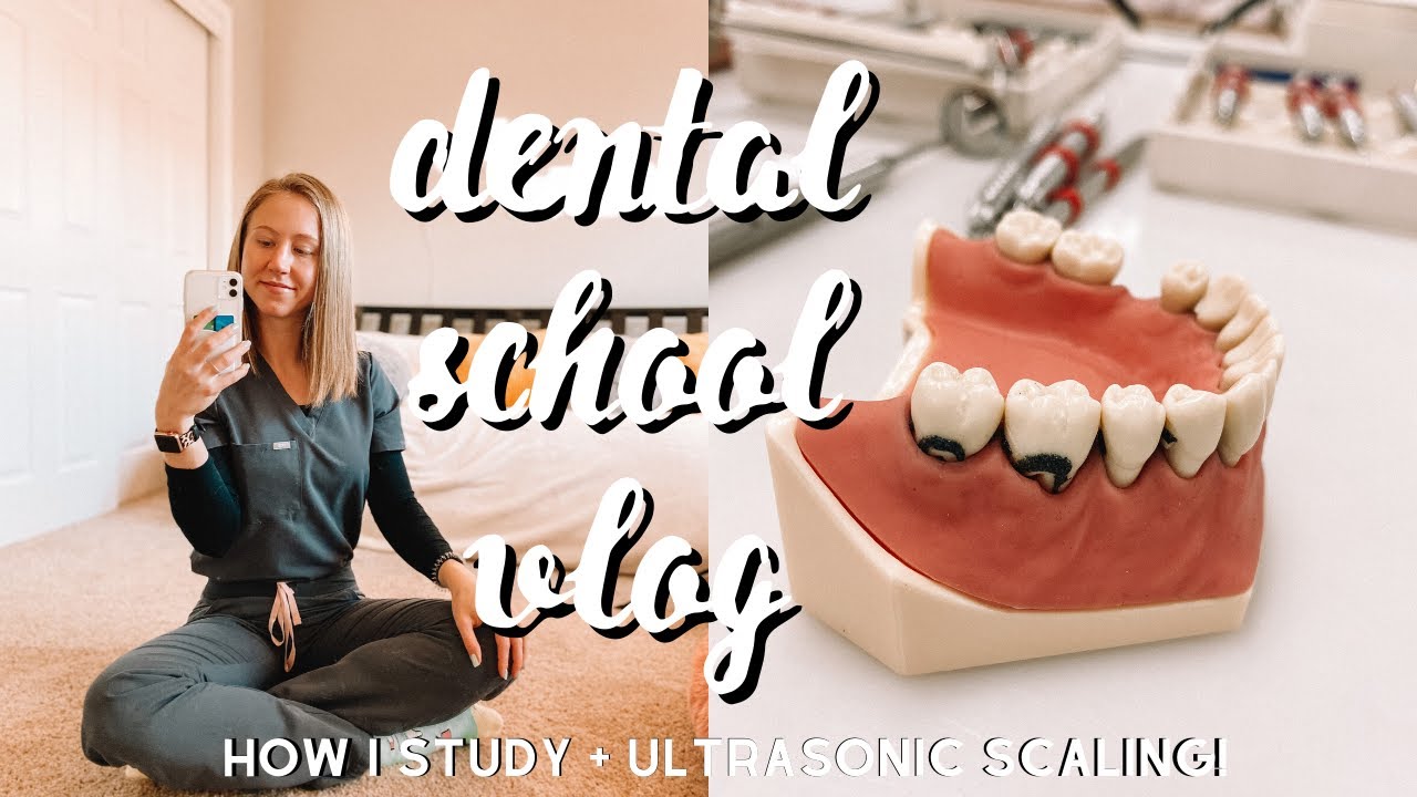 Dental School Vlog | Study tips, scaling, and prophies!