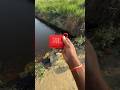 JBL speaker puliya testing
