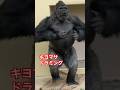 Kiyomasa drumming🥁 #gorilla