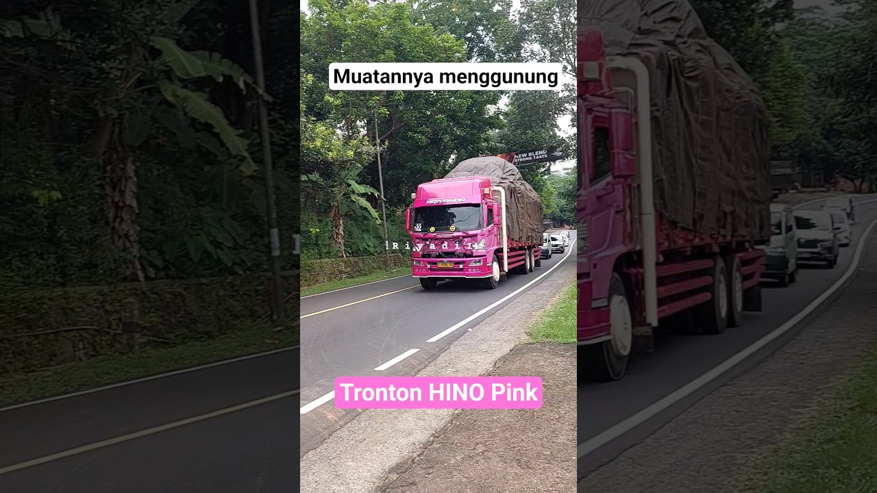 Tronton Hino pink fm 260ti, mantap muatannya