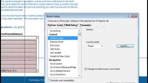 FileMaker Techniques - Multi Select Portals