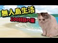 無人島生活100日目の猫【コント】 【猫アニメ】