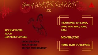 HORSE IN THE YEAR OF THE WATER RABBIT 2023