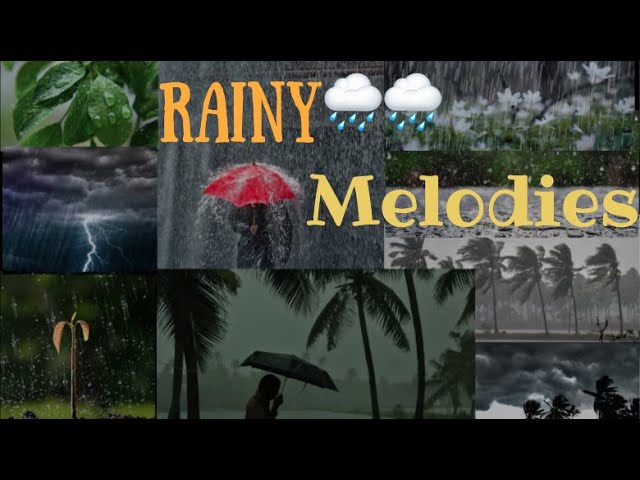 Rainy🌧️🌧️Melodies♬♬ - Tamil unbeatable Songs Collections | Audio JukeBox