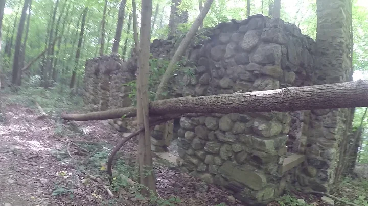 Farrington Woods - Danbury, CT - Putnam Rod and Gu...